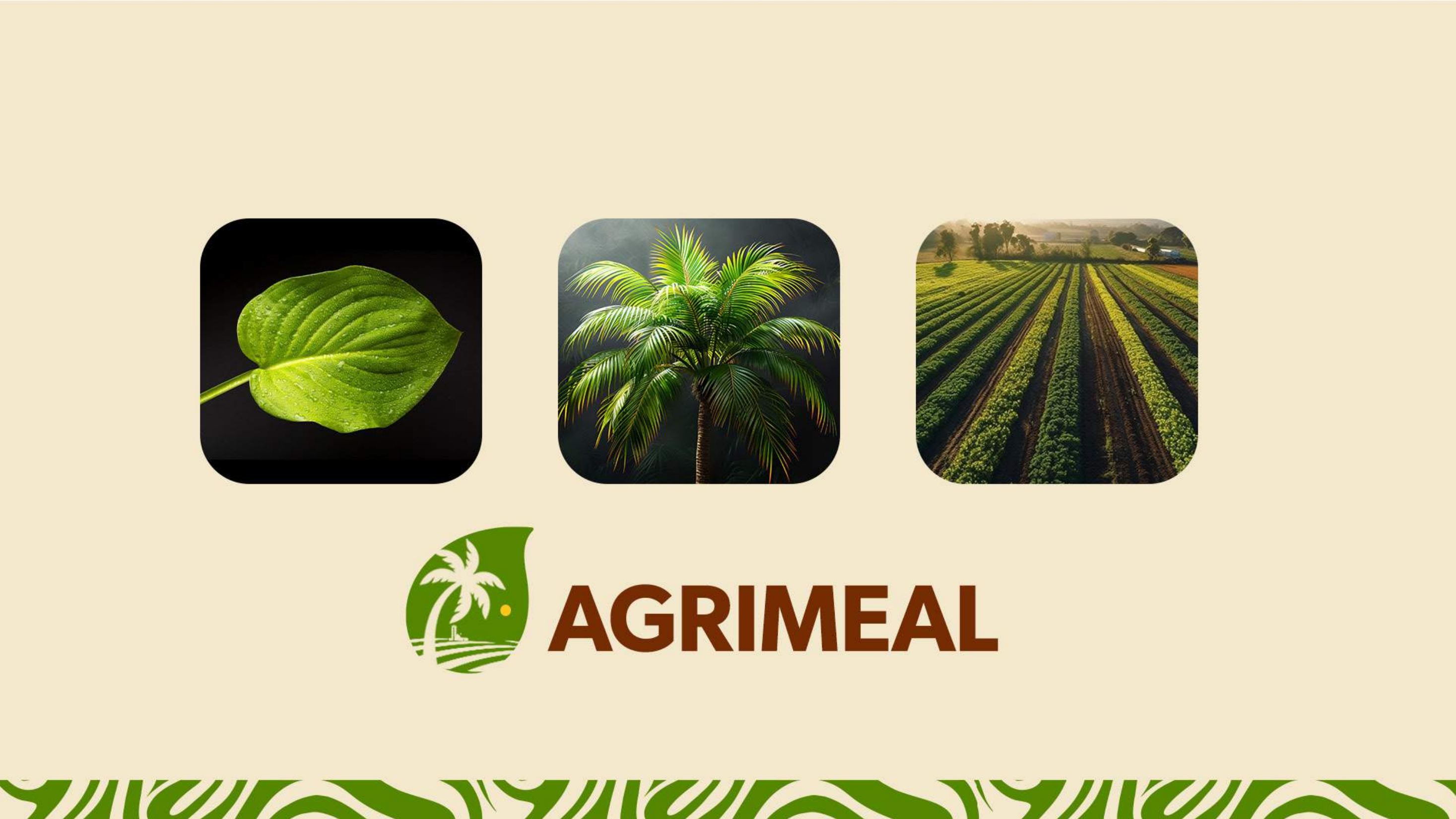 Agrimeal artwork 3